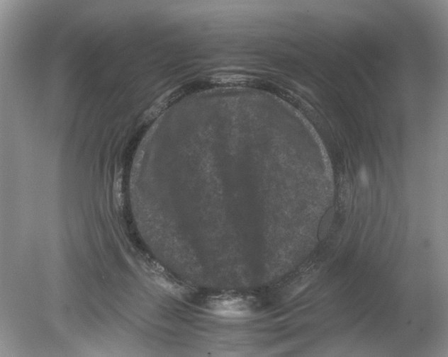 X0000078860267200612041940