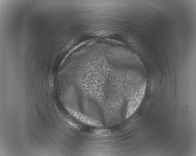 X0000078860268200612041940