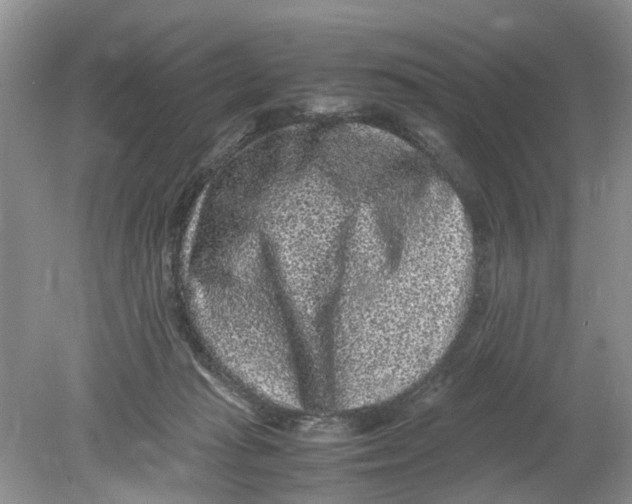 X0000078860269200612041940