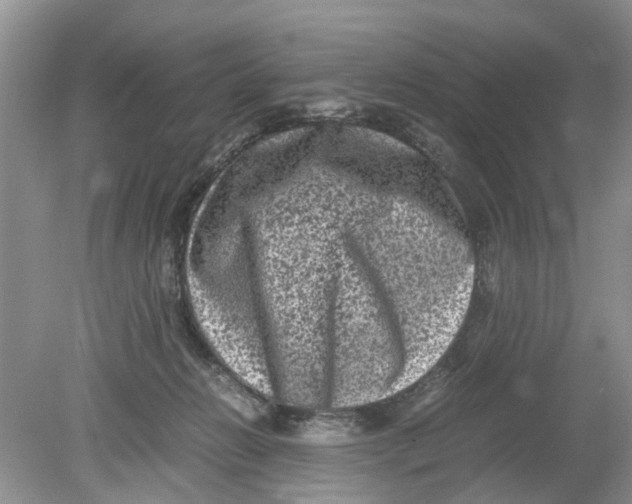 X0000078860270200612041940