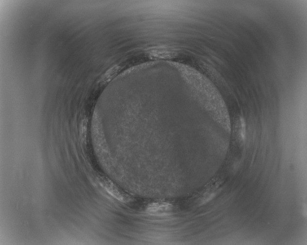 X0000078860271200612041940