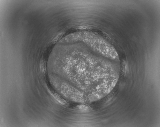 X0000078860272200612041940