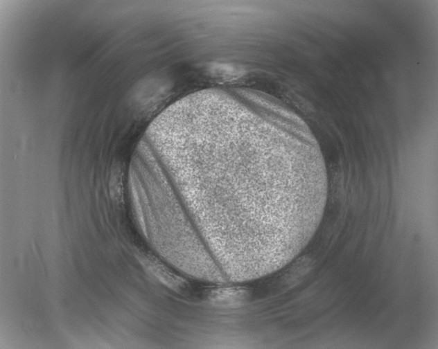 X0000078860274200612041940