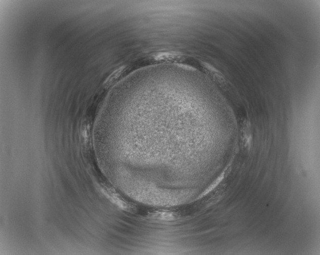 X0000078860276200612041940