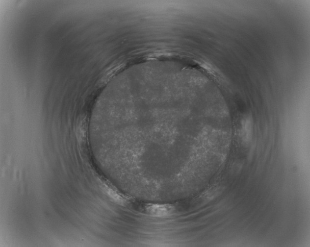 X0000078860277200612041940