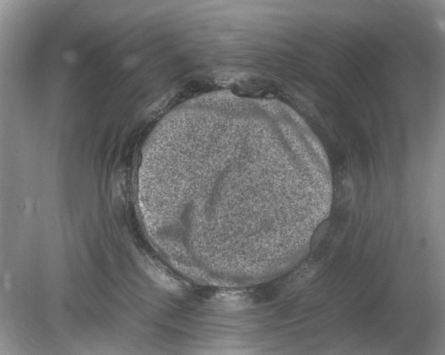 X0000078860280200612041940