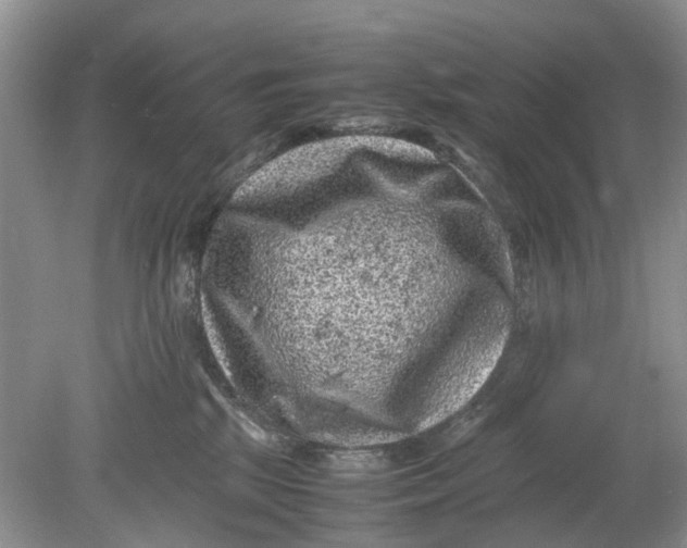 X0000078860281200612041940