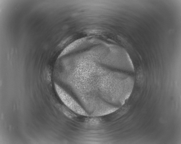 X0000078860282200612041940