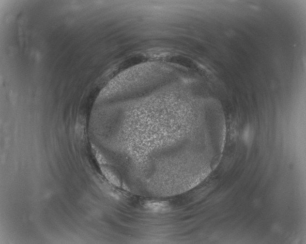 X0000078860283200612041940