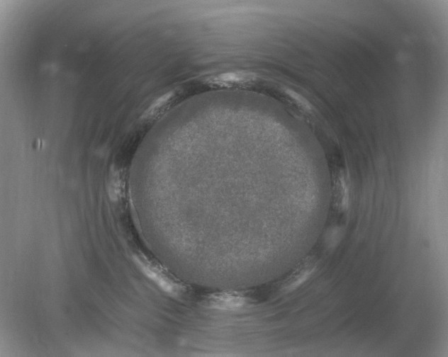 X0000078860284200612041940