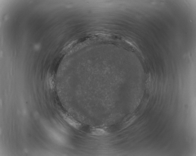 X0000078860285200612041940