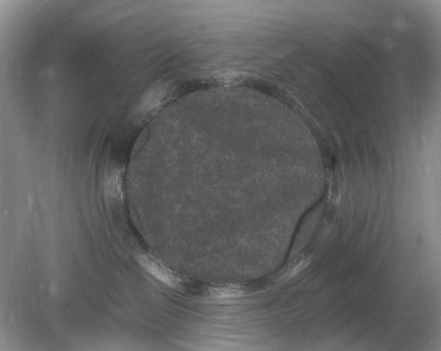 X0000078860286200612041940