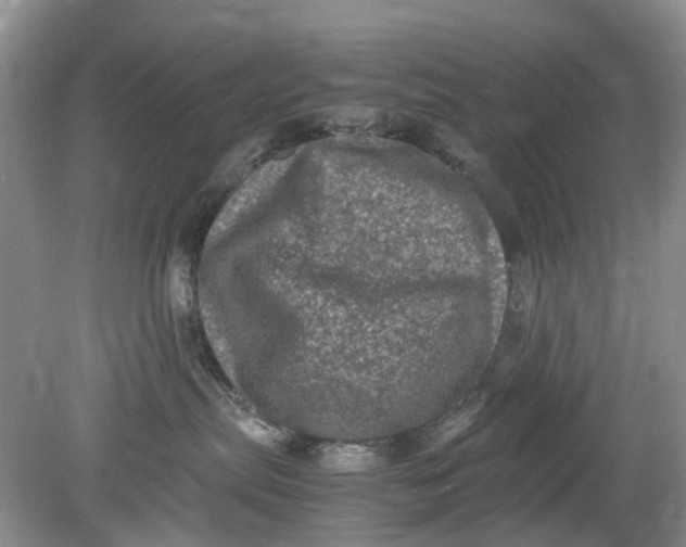 X0000078860287200612041940