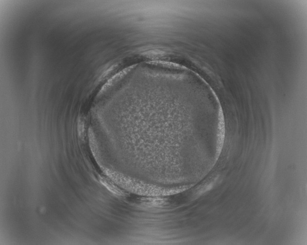 X0000078860288200612041940