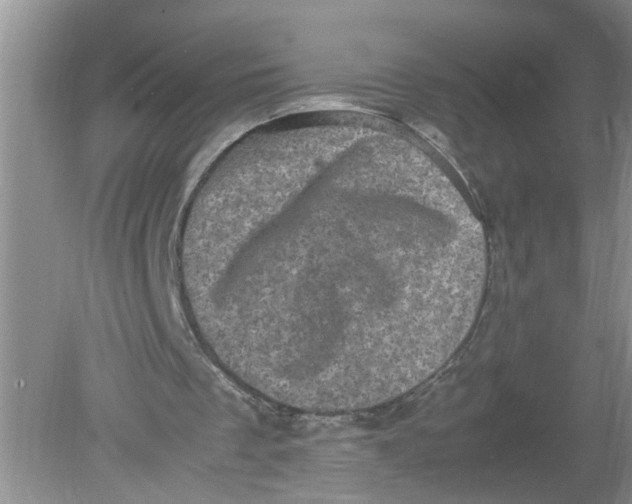 X0000078860289200612041939