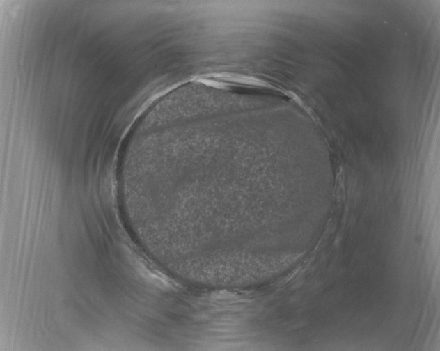 X0000078860290200612041939