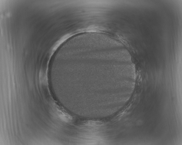 X0000078860292200612041939