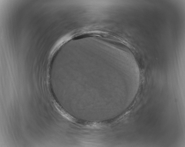 X0000078860293200612041939