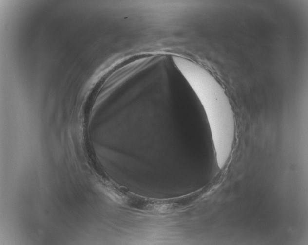 X0000078860295200612041939