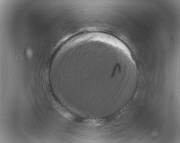 X0000078860297200612041939