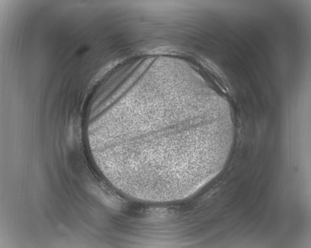 X0000078860298200612041939