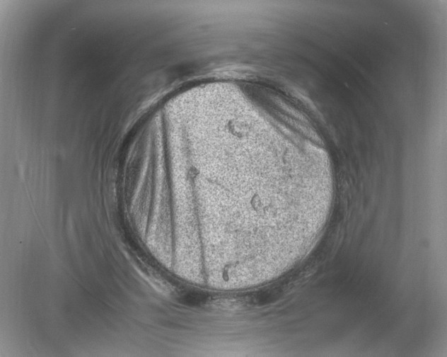 X0000078860299200612041939