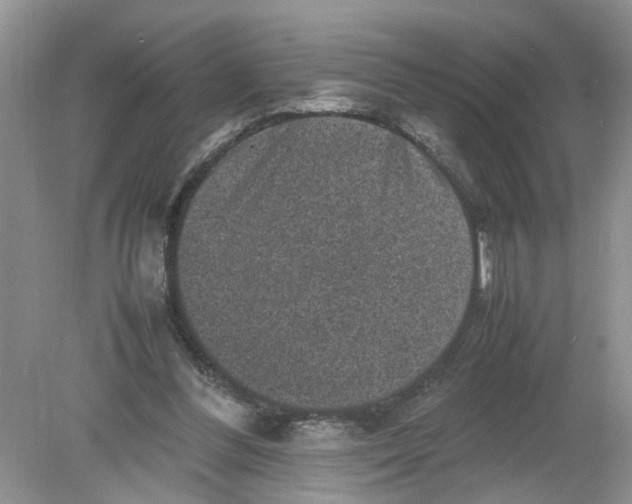 X0000078860300200612041939