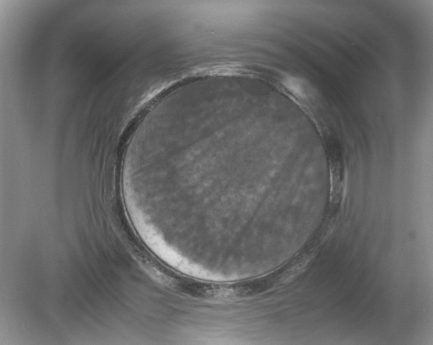 X0000078860301200612041939