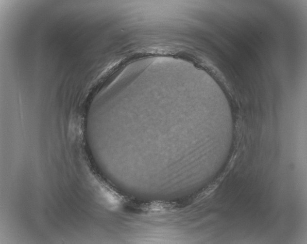 X0000078860305200612041939