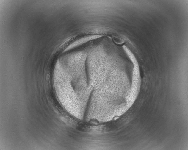 X0000078860306200612041939