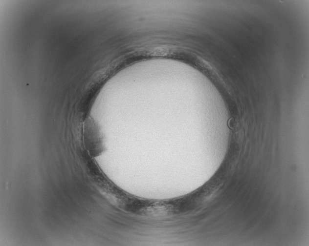 X0000078860307200612041939