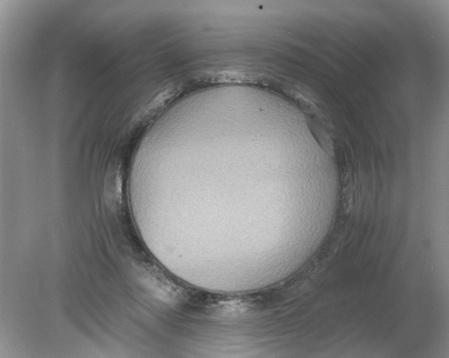 X0000078860310200612041939