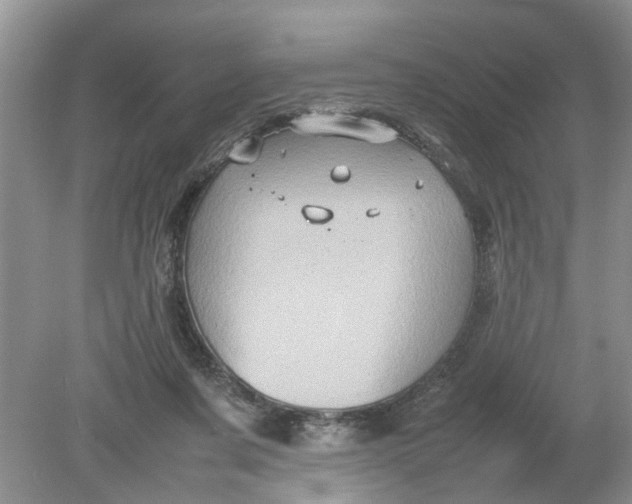 X0000078860311200612041939