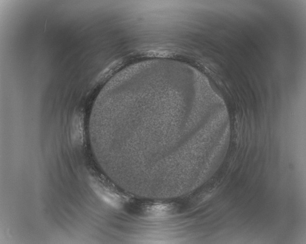 X0000078860312200612041939