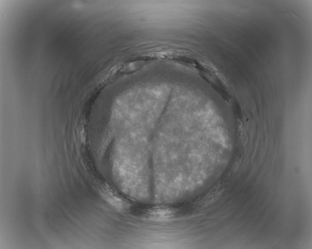 X0000078860313200612041939