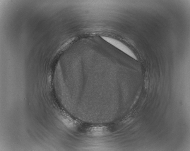 X0000078860314200612041939