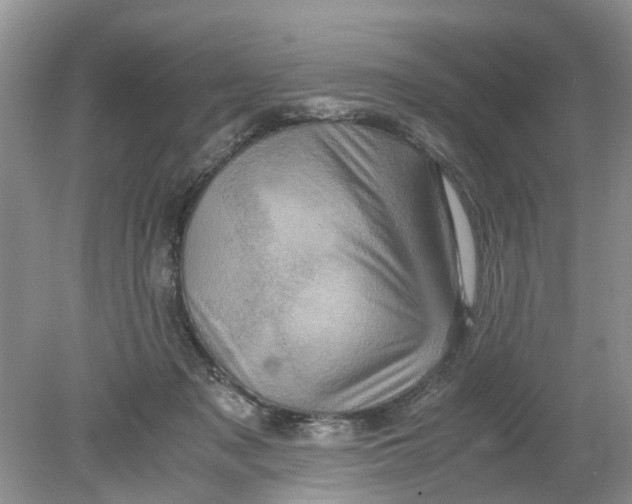 X0000078860317200612041939