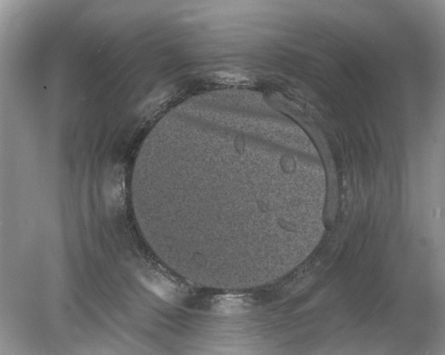 X0000078860320200612041939