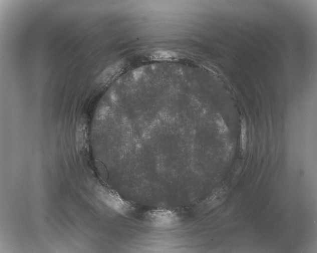 X0000078860322200612041939