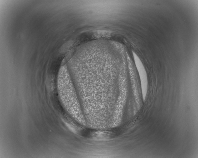 X0000078860323200612041939