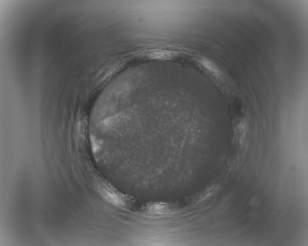 X0000078860325200612041939