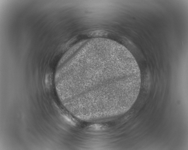 X0000078860326200612041939