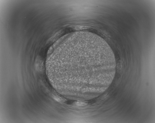 X0000078860327200612041939