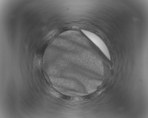 X0000078860329200612041939