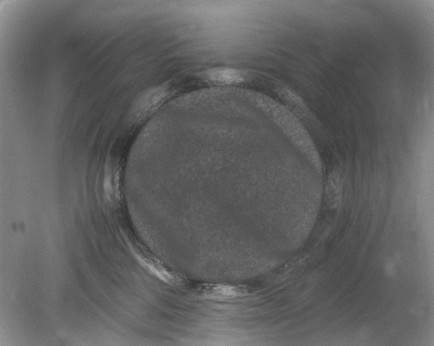 X0000078860330200612041939