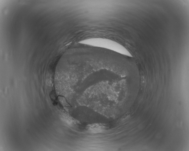 X0000078860331200612041939