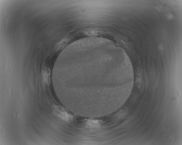 X0000078860332200612041939