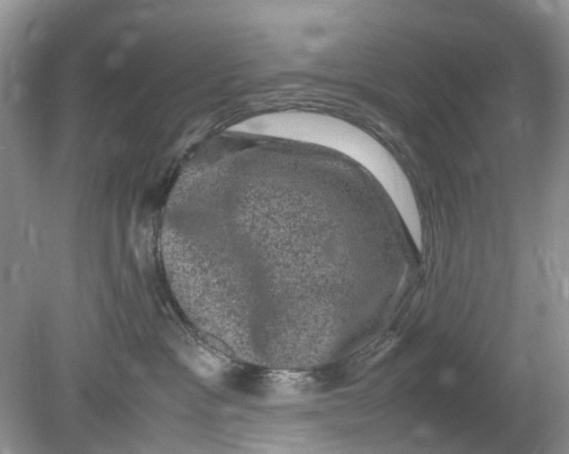 X0000078860333200612041939