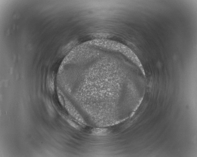 X0000078860334200612041939