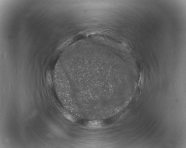 X0000078860335200612041938